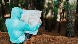 Rear View Of Traveler In Blue Hoodie Holding The Landmap While Resting In Pine Forest