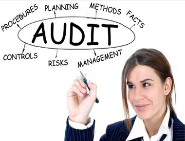 401k plan audit