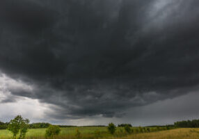 Dark Stormy Clouds Over Corn Field At Summer