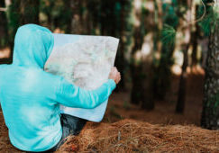 Rear View Of Traveler In Blue Hoodie Holding The Landmap While Resting In Pine Forest