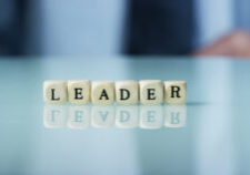 Slow Motion Macro Of The Word Leader Of The Wooden Letter Blocks Concept Of Financial Sbi 350474387