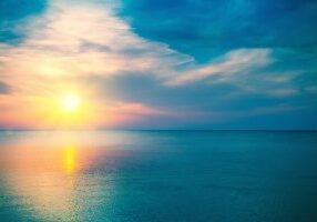 Multiple Employer Plan